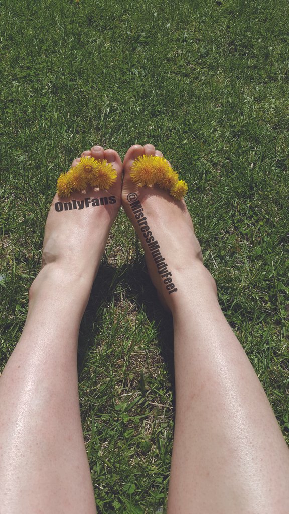 MMuddyfeet's tweet photo. I L🌻VE these futters in my tootsies!

#NaturalToes #toefetishnation #toesandsoles #mytoes #prettytoesandsoles #monkeytoes #Toefetish #Longtoes  #paypigs #findomgoddess #sellingfeetpictures https://t.co/QdesMb3pvR