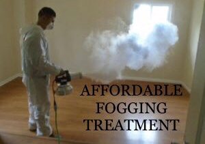 GLOUCESTERSHIRE BUSINESS OWNERS WE ARE HERE TO HELP !

FOGGING SERVICE - ANTIBACTERIAL TREATMENT TO ENSURE LOWERING THE RISK OF SPREADING GERMS 

5 ⭐️ REVIEWS &amp; CHECK A TRADE MEMBERS  
m.facebook.com/Onthemoveclean…
onthemovecleaningsolutions.co.uk
