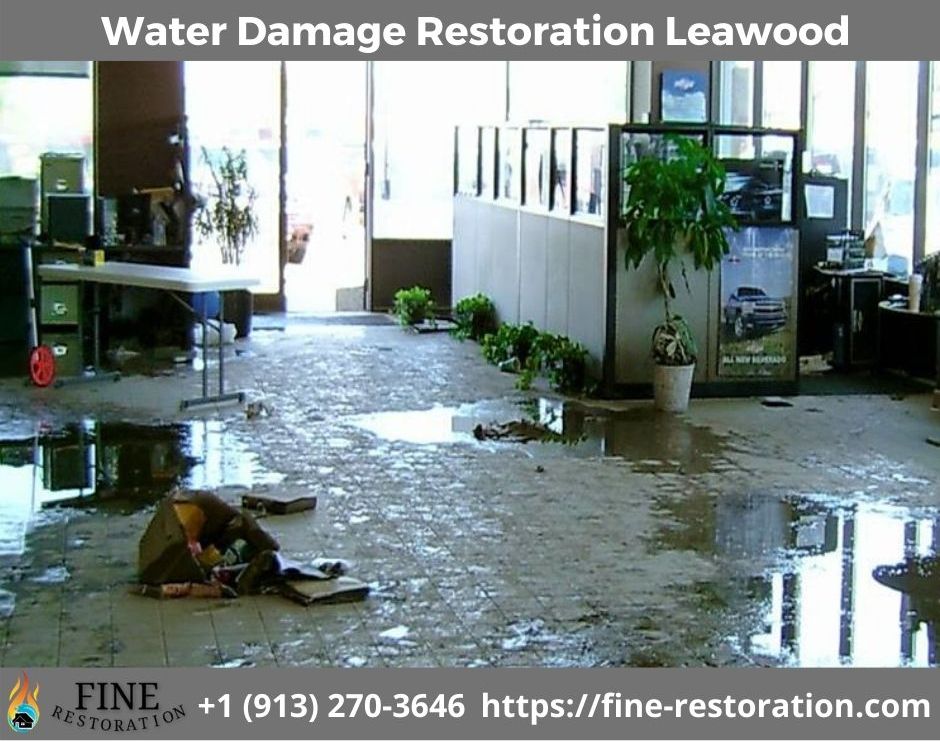 SalLass5's tweet photo. Call Fine Restoration at 913-270-3646 for water damage restoration Leawood. We are on call 24/7 for water damage cleanup and water damage repair services. Call us 913-270-3646 or visit us https://t.co/L5l0q0eBfP https://t.co/5hdGhN4i4F