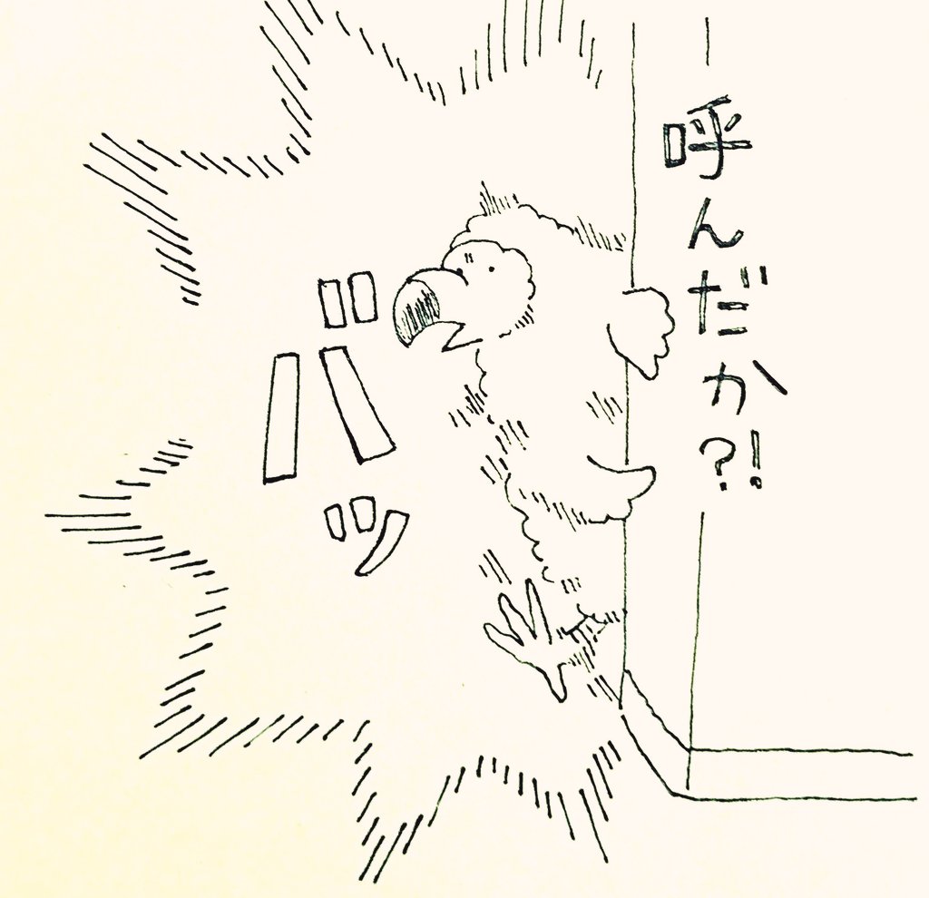 飛び出すドードー。 