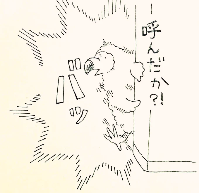 飛び出すドードー。 