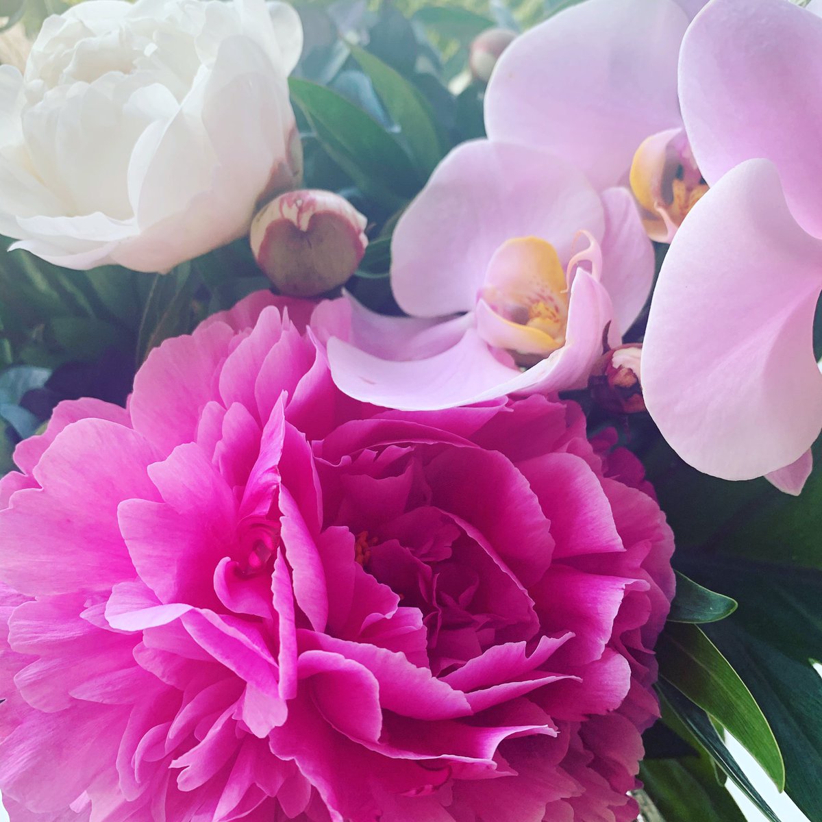 Danielle McDermott tweet media