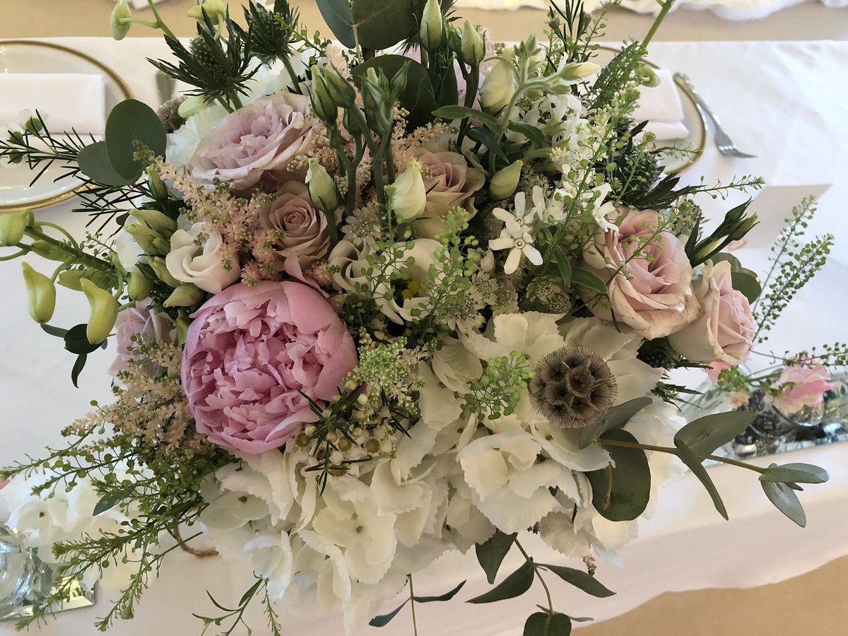 Danielle McDermott tweet media