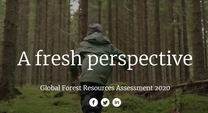 FAOForestry's tweet photo. Check out our new interactive report to find out how #forests have changed in the last 30 years https://t.co/wAurD17iwo #FRA2020 https://t.co/yNbGxQ5ZSj