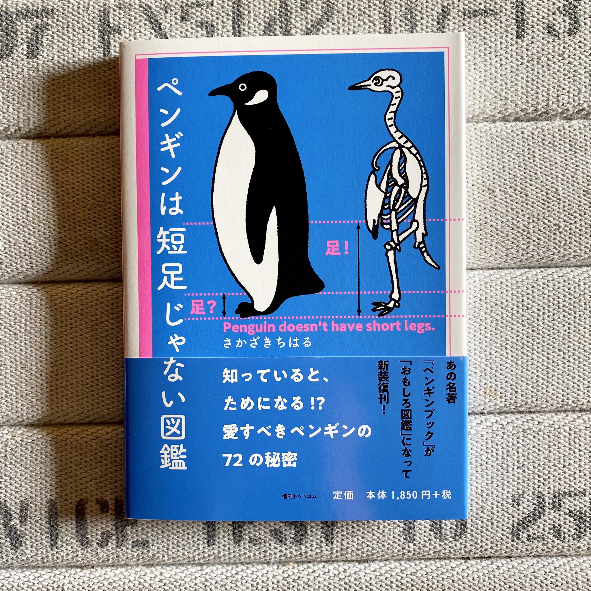 توییتر さかざきちはる ペンギンうらない 金と銀 カラフルの2種類発売中 در توییتر ペンギンは短足じゃない図鑑 にイラストとサインを描きました ペンギンうらない で占った言葉も入れてみました 1冊1冊違う言葉になっています Penguin Design の