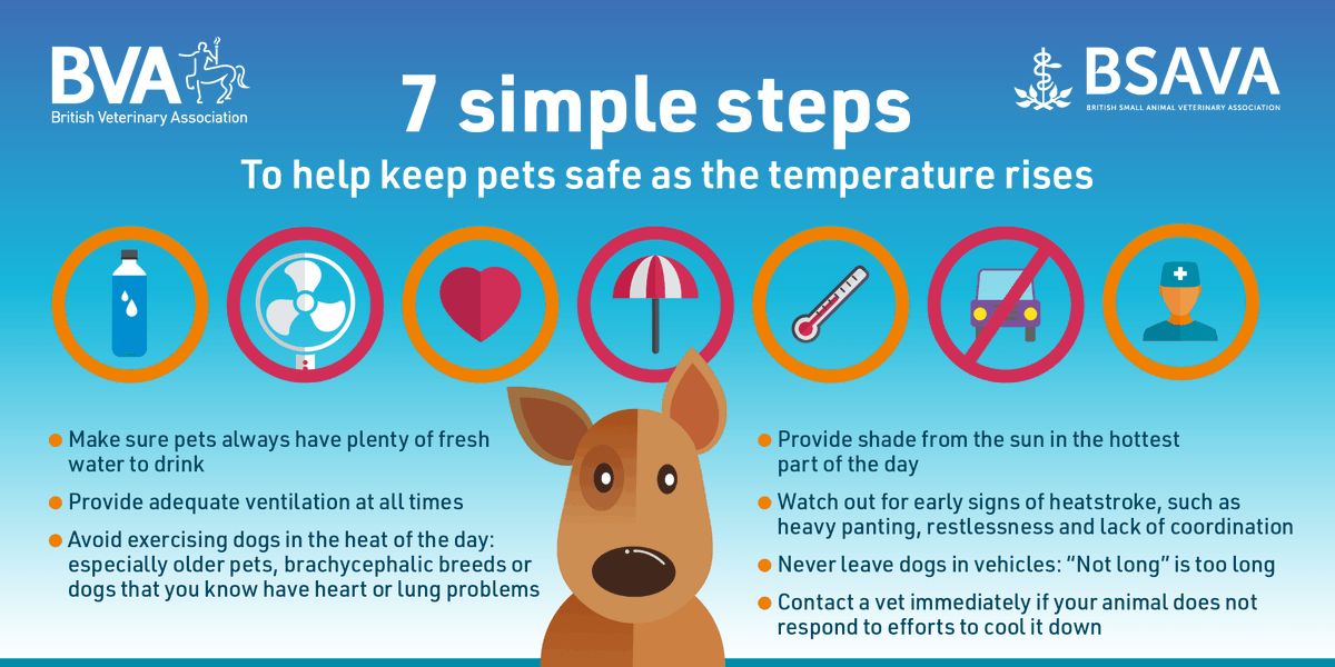 BritishVets's tweet photo. It's set to be a scorching weekend! Like us, animals can struggle in this weather. Make sure your pets have plenty of fresh drinking water and shade, and avoid exercising them during the hottest part of the day: https://t.co/3dvpKxIU8C https://t.co/Xd1Z9pvDta