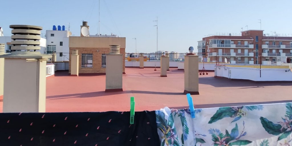 gutisolis's tweet photo. Subo a la azotea a recoger la ropa y encuentro a #mivecinoEnrique, haciendo ejercicio. Aunque ya está permitido practicar deporte en la calle, en diferentes horarios, y a pesar de la elevada temperatura, todavía algunos vecinos del bloque prefieren seguir subiendo a la azotea>>> https://t.co/k8OBjgGRir