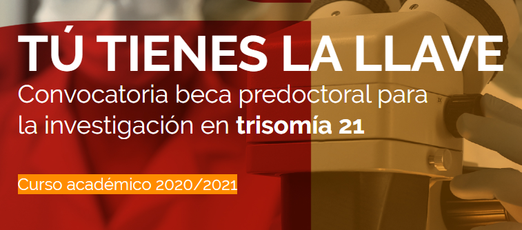 Beca Predoctoral para la investigación en trisomía 21 de <a href="/FundLejeuneES/">Fundación Jérôme Lejeune España</a> y la Fundación Álvaro Entrecanales.

#LaInvestigaciónEsLaLlaveDown 👉 beca.fundacionlejeune.es/tu-tienes-la-l…