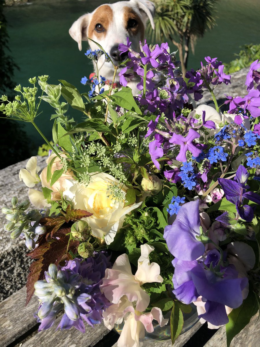 Dawn_French's tweet photo. Abundant beauty. @TheFlowerFarmer #goodie https://t.co/hKM97Rf7fg