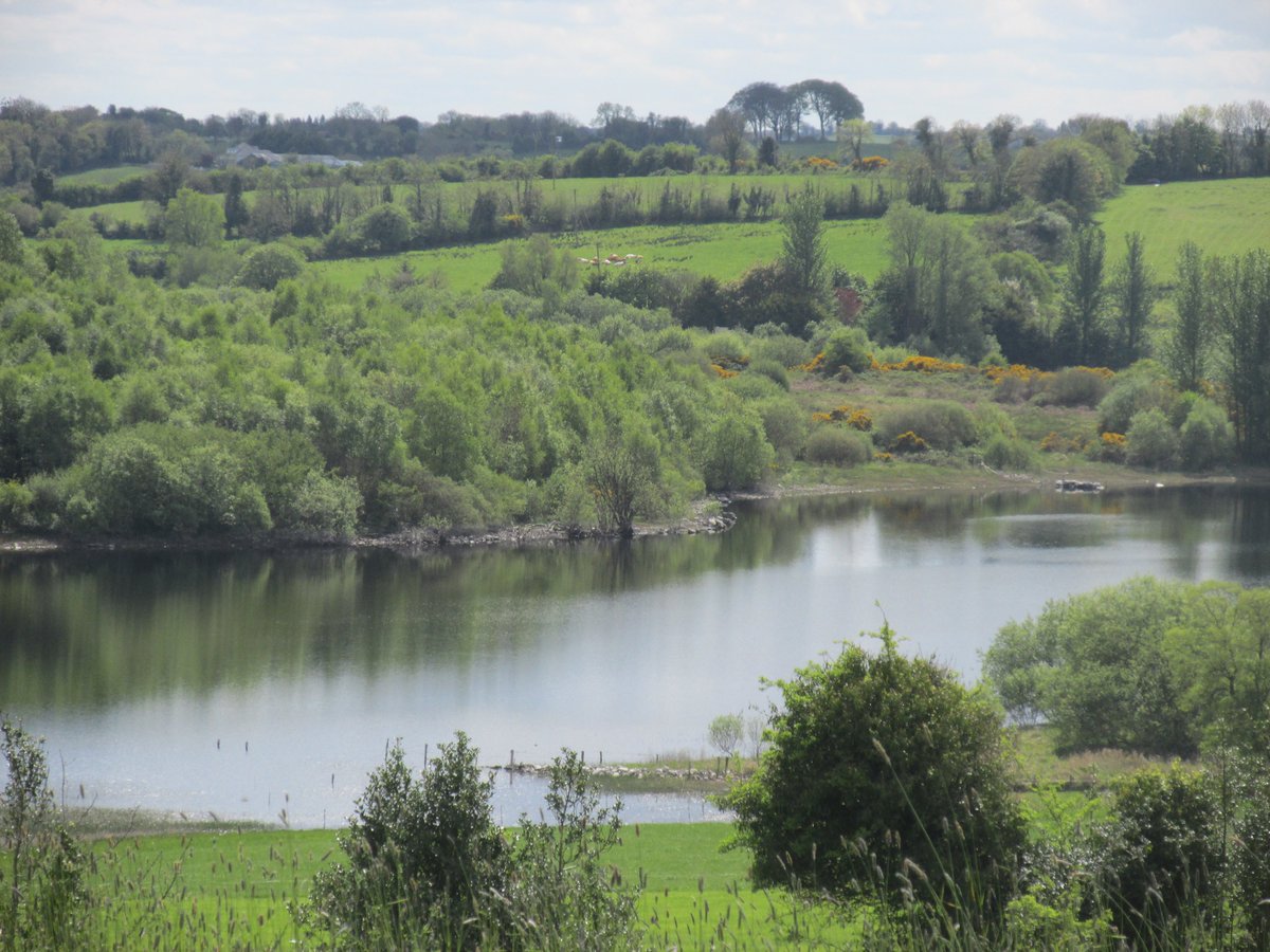 All things nice... tweet media