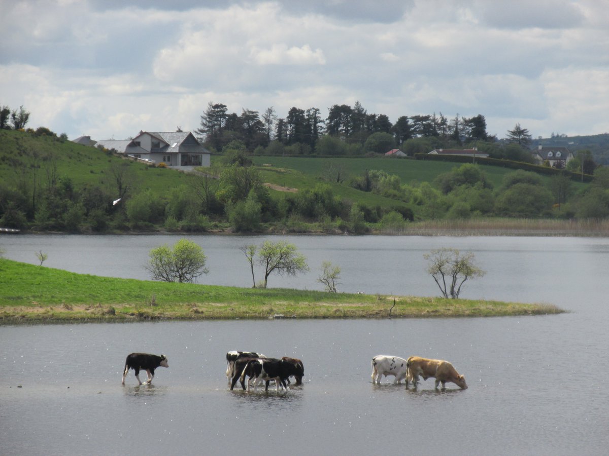 All things nice... tweet media