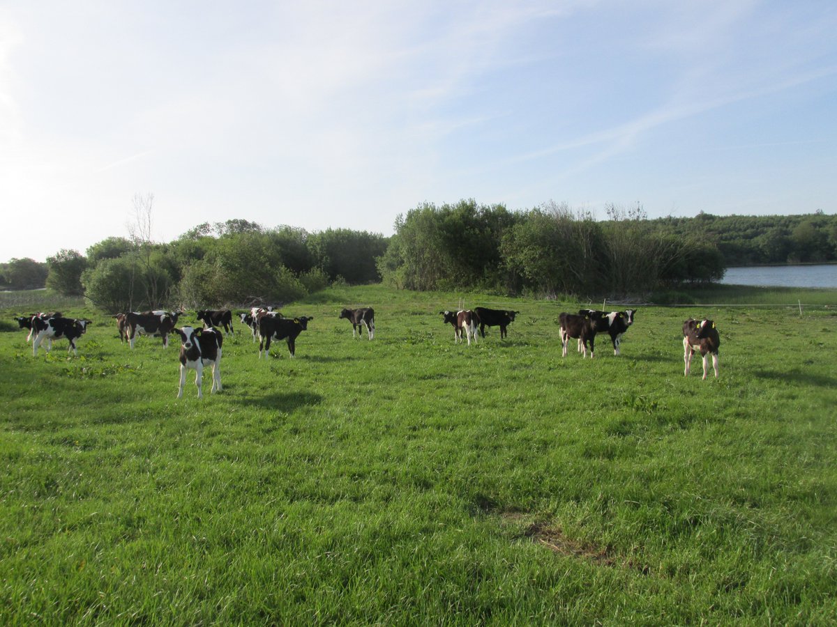 All things nice... tweet media