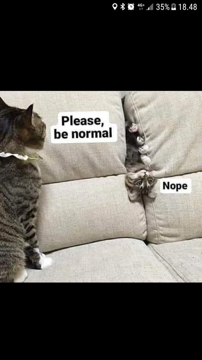 Mensa in Deutschland | Gemeinsam weiter denken. tweet media