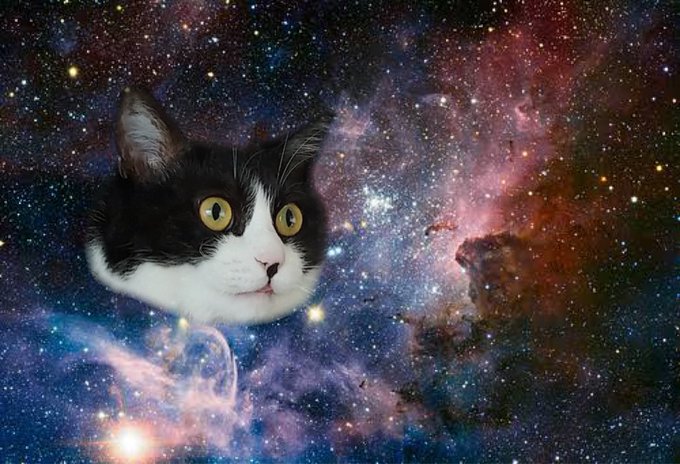 宇宙猫のtwitterイラスト検索結果 古い順 宇宙猫のtwitterイラスト検索結果 古い順