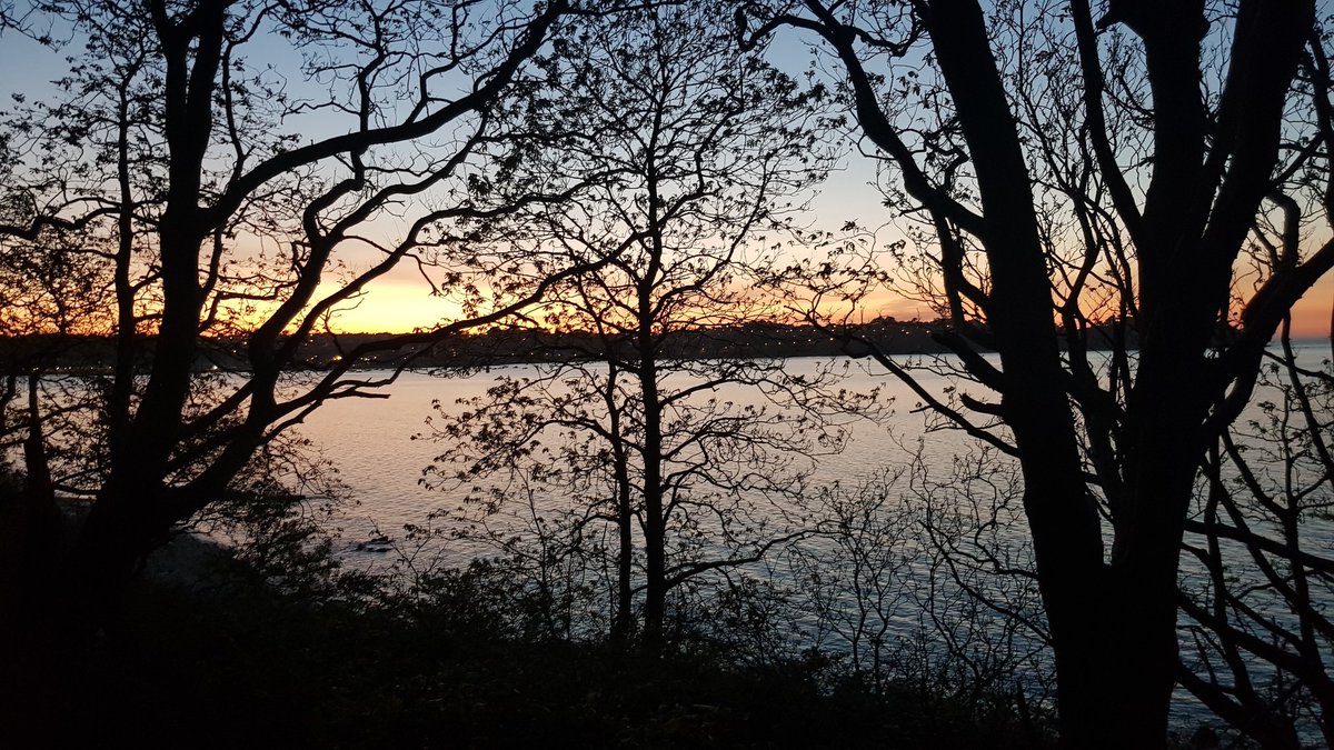 FabriceFauchoux's tweet image. Un beau week-end en perspective #workinlannion