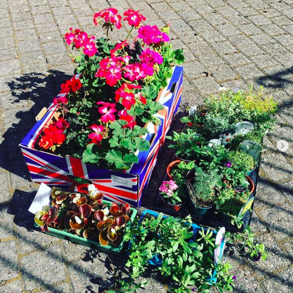 secretgardenweb's tweet photo. #planting #colourfulcontainers for our customer today 🌿🌺🌼 #potsofinstagram #planters #outdoorplanters #pelargoniums #geraniums #begonias #petunias #gardeninglife #gardeninglovers https://t.co/LwMLrJcmy0