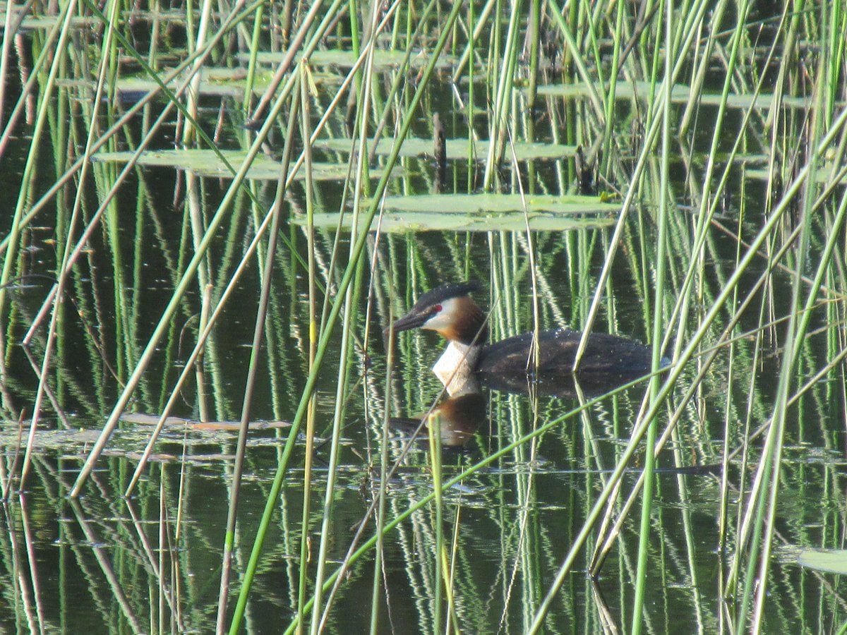 All things nice... tweet media