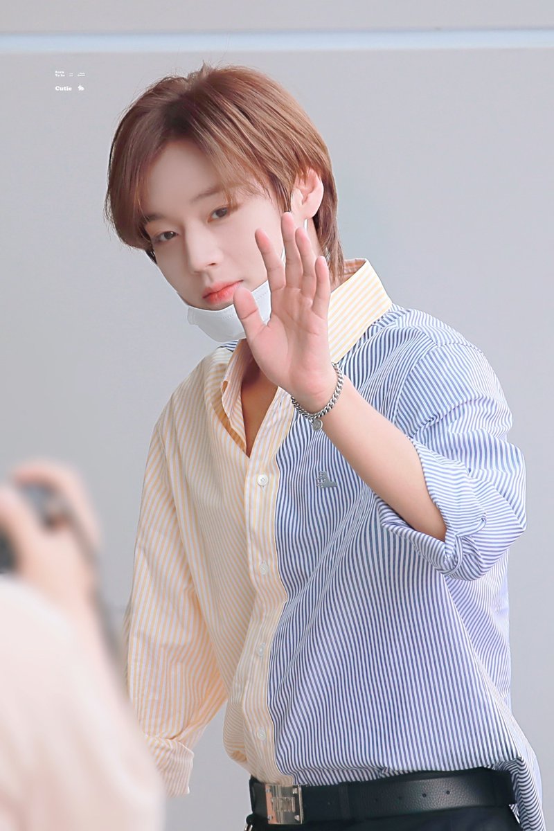 Born to be Cutie tweet media