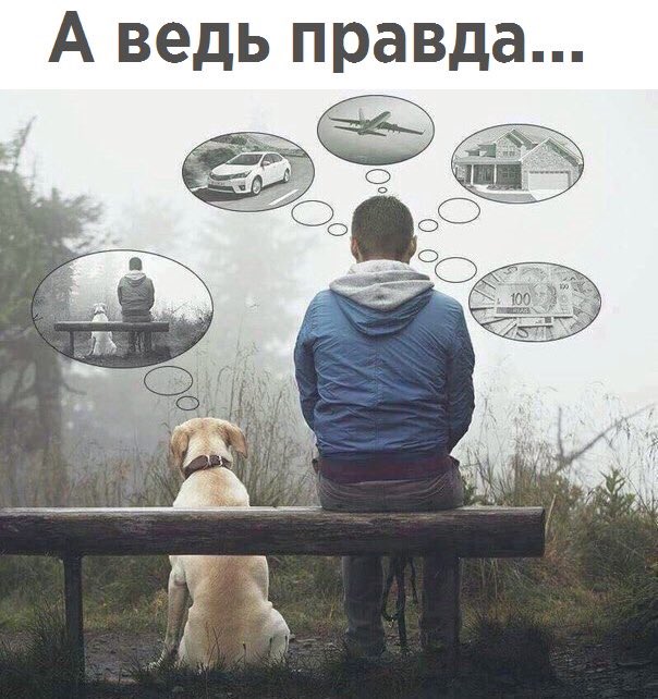 Случайные Факты (@fact_yes) on Twitter photo 