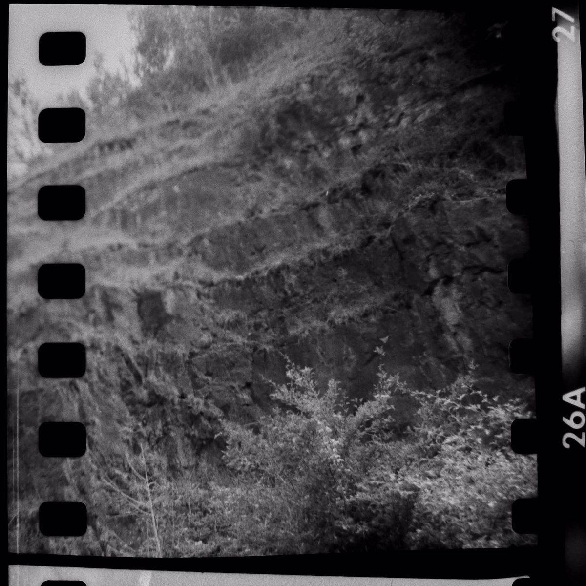 TobyVPhoto's tweet photo. These are a few frames from my jaunt out with the #BenciniComet recently. #35mm in #127format camera. @sunny16podcast #shootfilmbenice https://t.co/tQch66vzT4