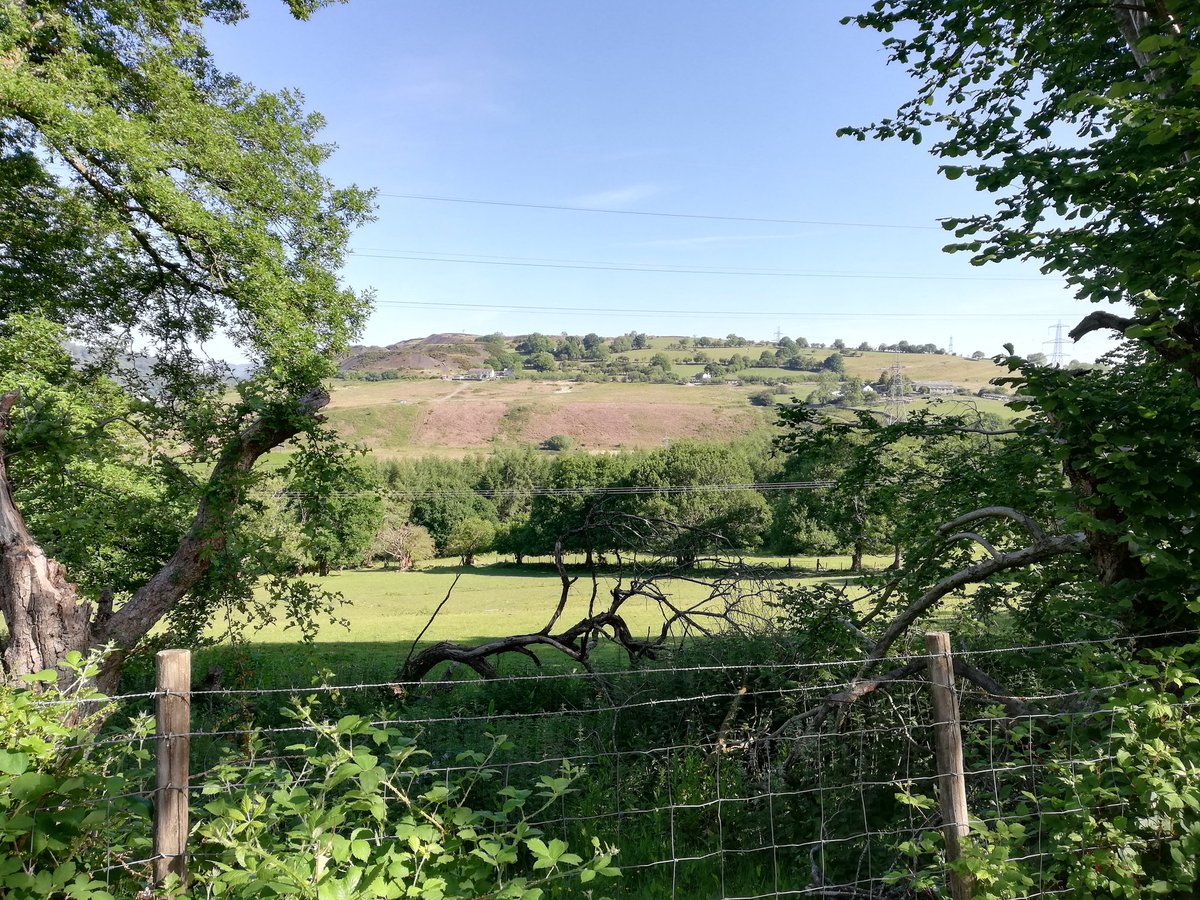 MrsCCP13's tweet photo. When you take on the Radyr Everest Challenge and get your steps done before lunch. Lovely family event to be part of.
@RcsWellbeing https://t.co/6TcrryJ2eQ