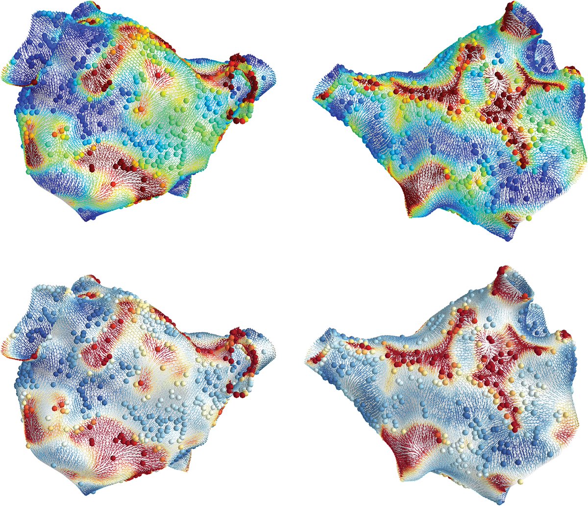 This week's #PhilTransA issue is dedicated to developing ‘uncertainty quantification’ techniques to account for data variability in cardiac models. ow.ly/bDod50zNqTM @GaryMirams <a href="/rhclayton/">Richard Clayton</a>