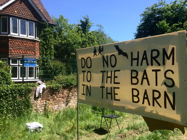kimmySW's tweet photo. @HS2ltd Is this why #HS2 cannot afford to give our wildlife any chance at all? #batmitigation #saveourtrees https://t.co/Epq9Wv5aBF