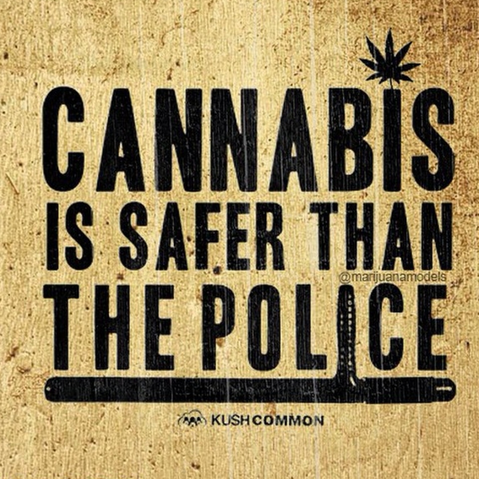 RE-legalization tweet media