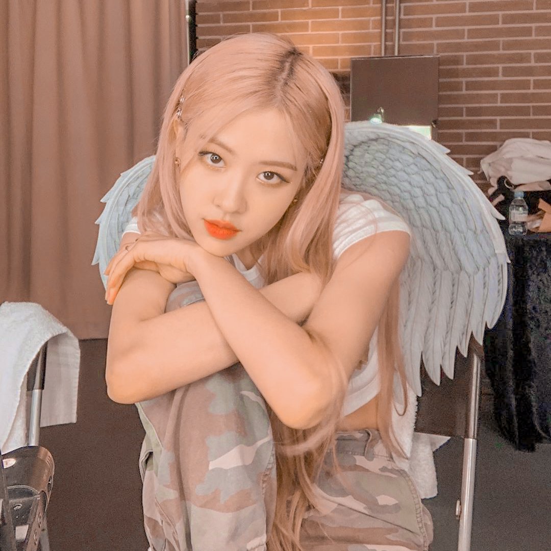 bubblegumyyu's tweet photo. :¨·.·¨: Blackpink Rose aesthetic pack 
 `·.  Fav or rt for use and save it.
      Follow me for more.

#Layout #Layoutmatch #aestheticpack #rosepacks #roseaesthetic #roselayout 
#blackpinkaesthetic #ROSE https://t.co/W2wbLGLuIV