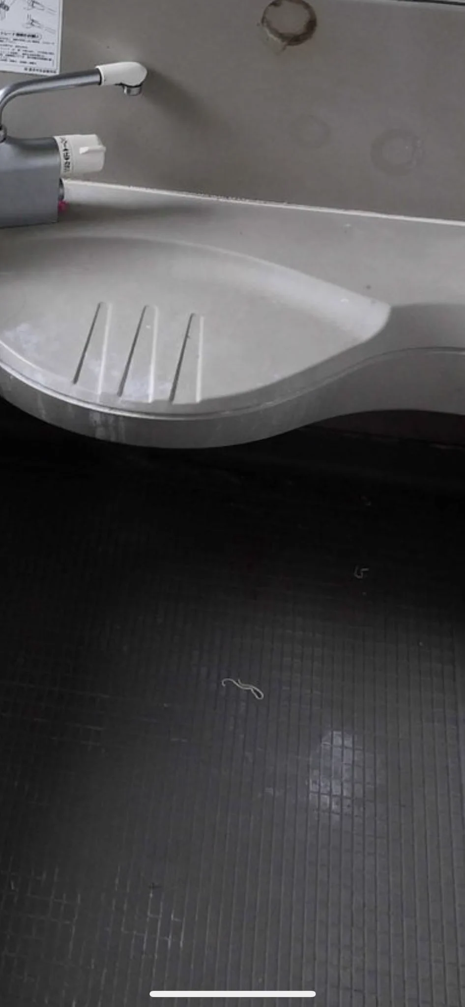 @oota76420732 風呂場に蕎麦落ちてません？？？？？？？？？？？？？？ 