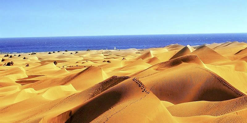 Miguel Ángel Pérez del Pino tweet media