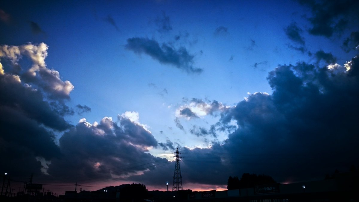 ∀メ tweet media
