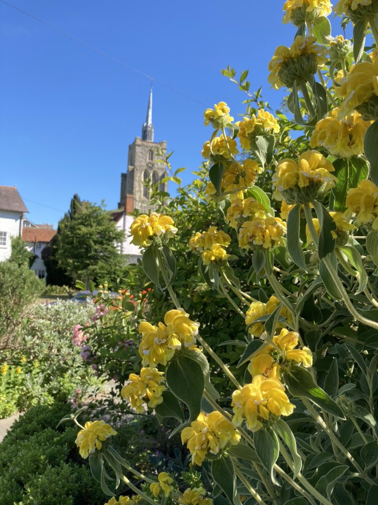 Ashwell museum tweet media