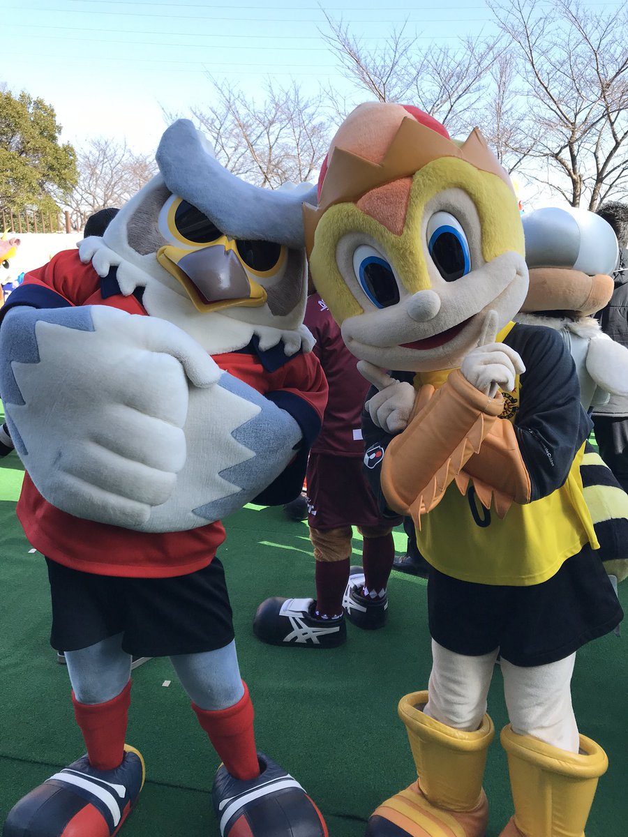 5 30 土 は柏レイソルの公式マスコット レイくん のお誕生日です ロカスポ柏市版