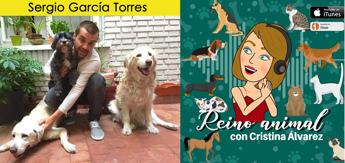 crisalvap's tweet image. El domingo en #ReinoAnimal nos acompaña Sergio García Torres, Director General de Bienestar Animal del Gobierno. 
Hablaremos de la nueva Ley Estatal de #BienestarAnimal @SergioGaTorres @AnimalesGob #leybienestaranimal ivoox.com/podcast-reino-… #podcast