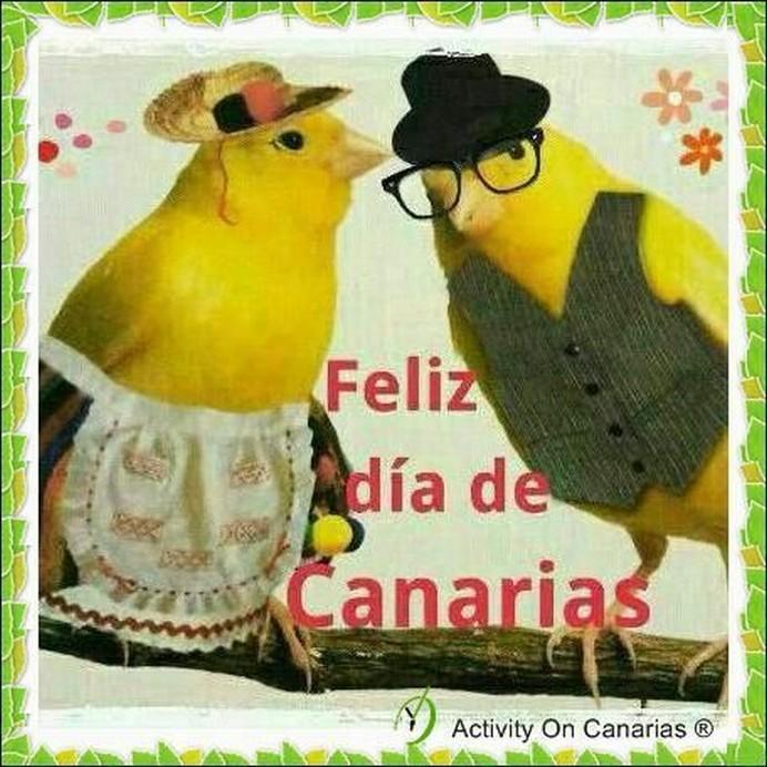 Feliz día para todos mis compañeros.