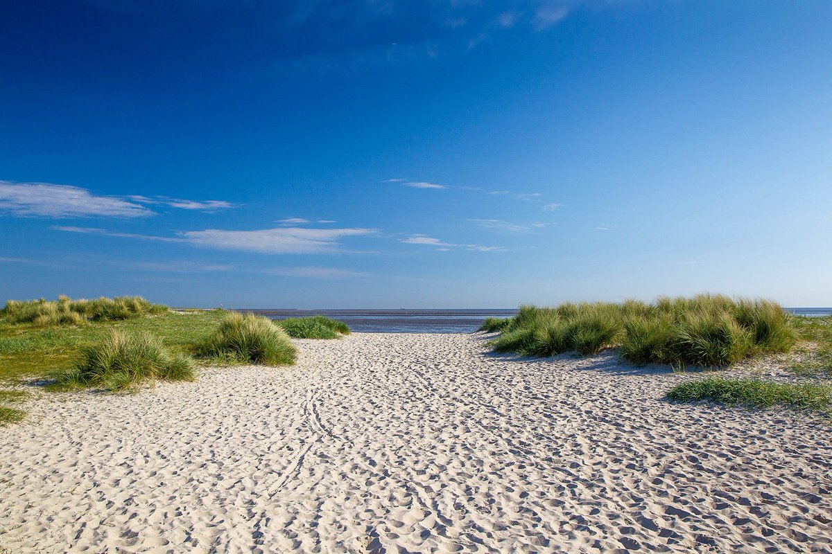 Roadrun32664774's tweet photo. Irgendwo auf dieser Welt fragt sich gerade ein Strand, warum ich nicht auf ihm liege. #strandfeeling https://t.co/kRE4NijmMA
