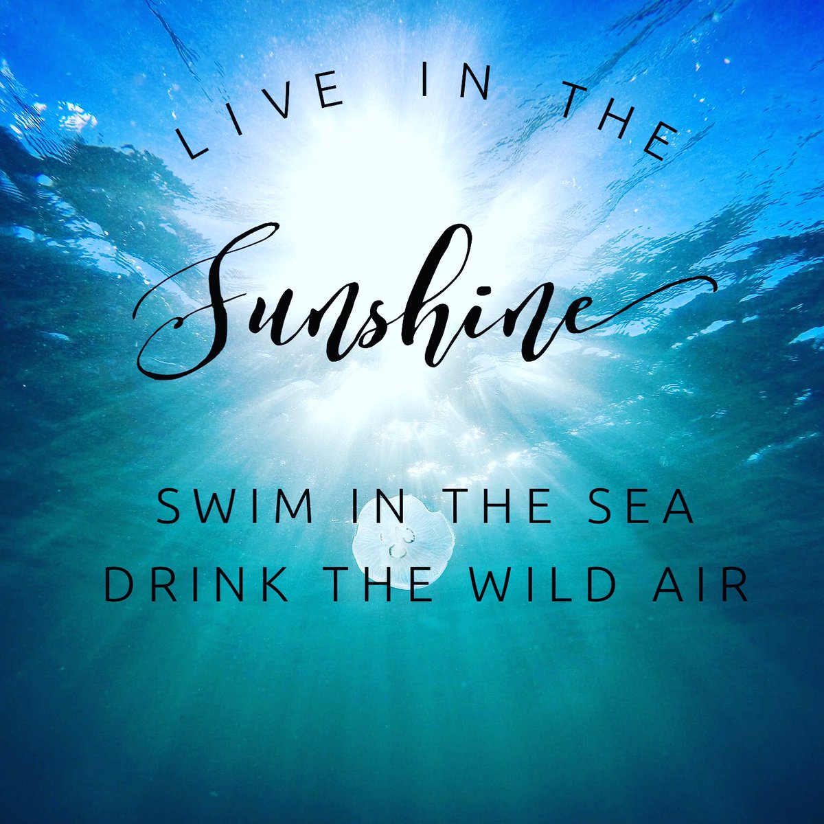 lbsocialworker's tweet photo. Fresh air and sunshine do wonderful things for the soul☀️ Put down the devices and get outside this weekend! #reset #sunshine #lbny #sweatitout #freshair #Ralphwaldoemerson https://t.co/VuTGCmCWZy