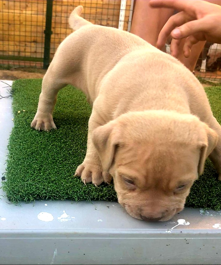 Bitch...I'm a big boy💪💣💪