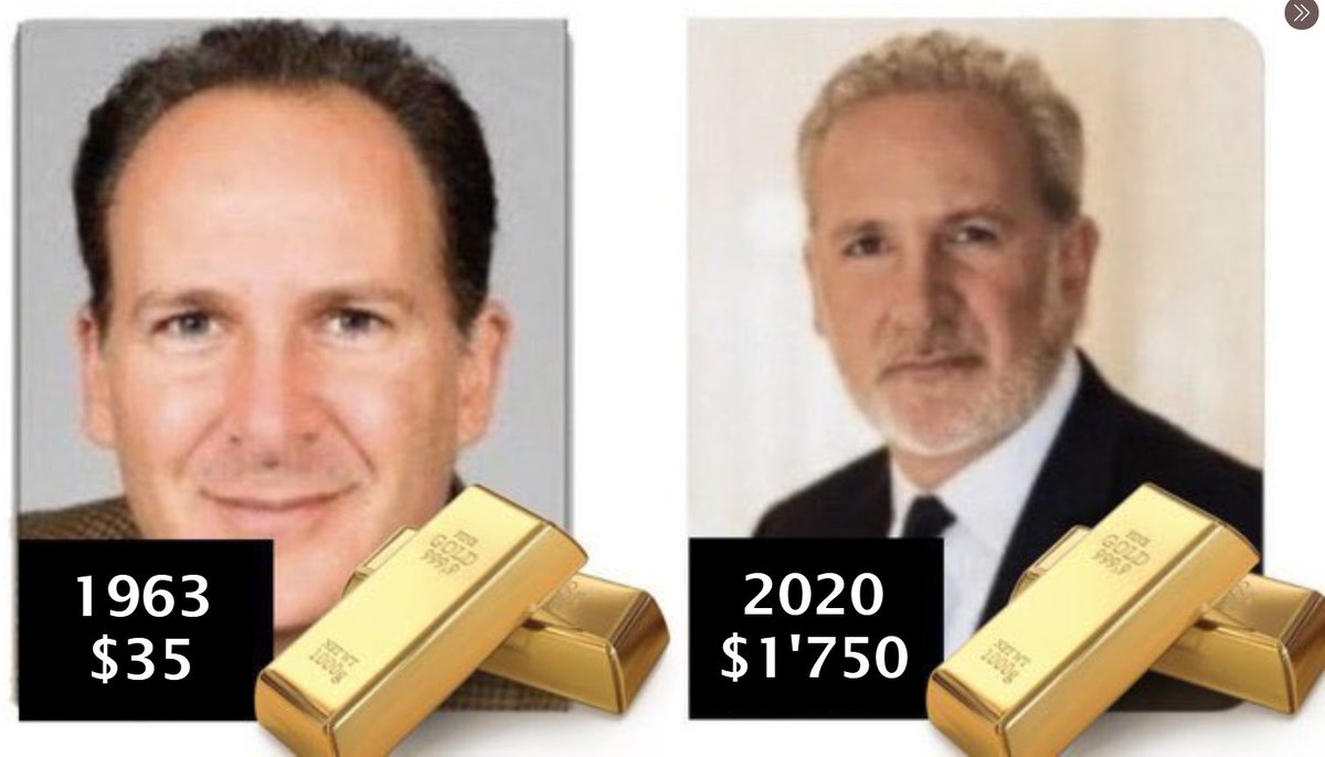 Crypto bugs keep trolling me with this anti-gold propaganda meme using  their favorite gold bug, @PeterSchiff So here is an update for them to  understand money: The value of the dollar has