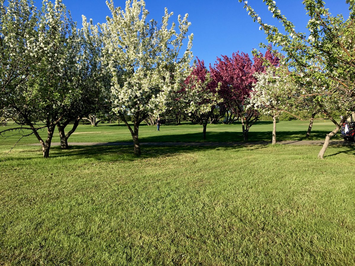 Not only is ⁦<a href="/ChinookGolf/">Chinook Golf Course</a>⁩ about great #golf it’s the views, sounds, smells. Singles/couples/family fun #enjoy ⁦<a href="/City_SC/">Swift Current</a>⁩