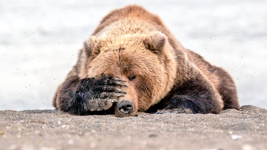 CDefdp's tweet image. 