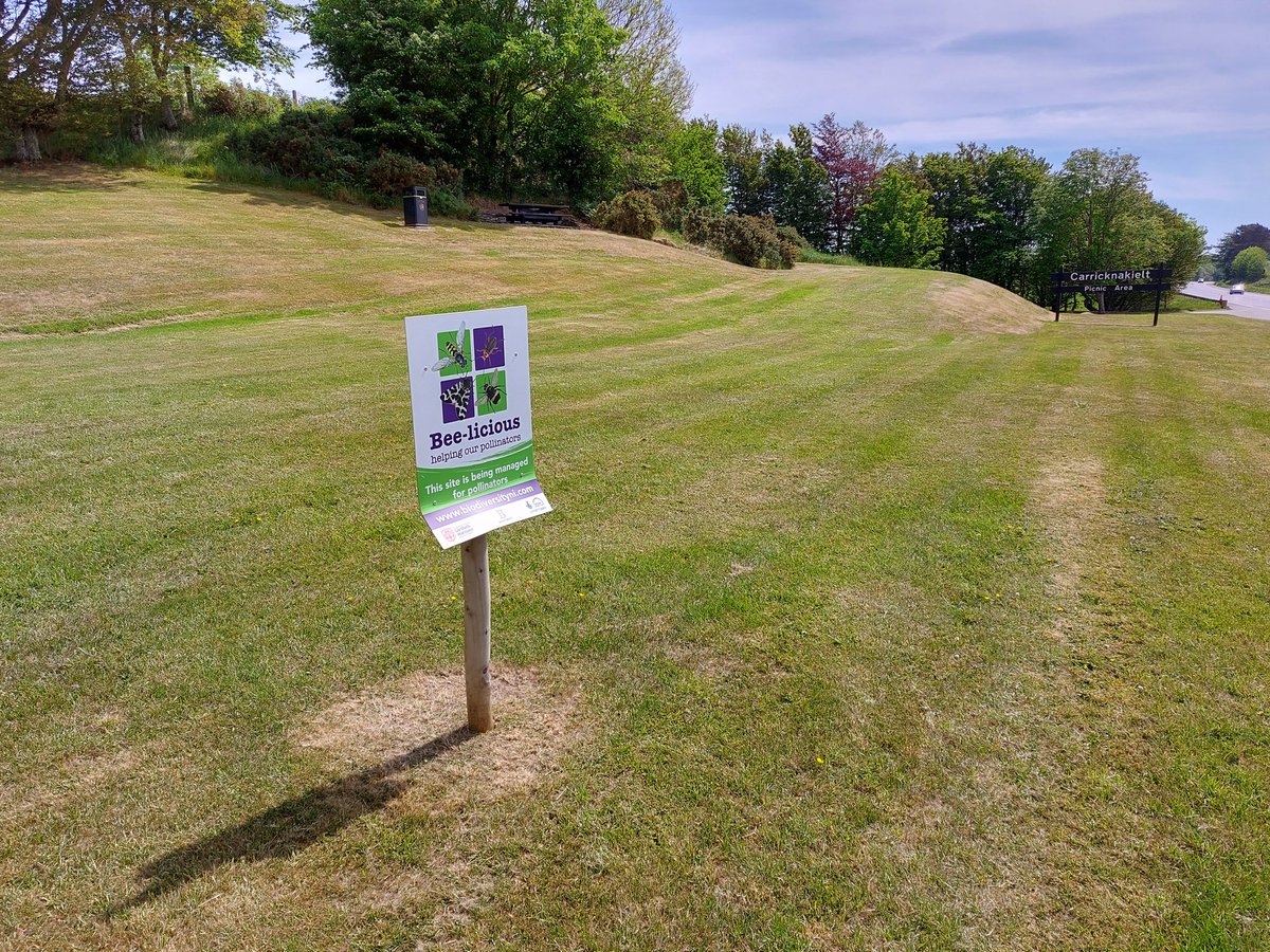 donnarainey4's tweet photo. I think the pollinators would disagree @MidUlster_DC Please, please stop this mowing madness! #Dontmow @PollinatorPlan https://t.co/azxAgtFKbG