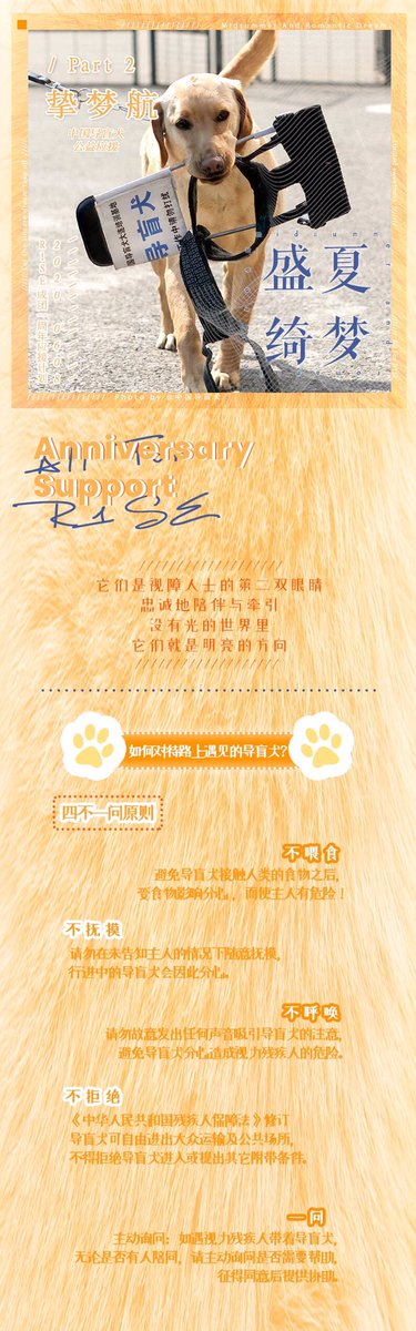 @ ·甜蜜限定·R1SE PART TWODonation of 3400 yuan to an organisation that trains Guide Dogs (中国导盲犬培育事业)