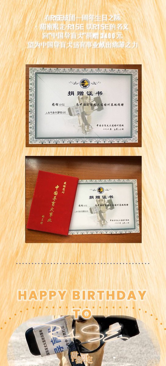 @ ·甜蜜限定·R1SE PART TWODonation of 3400 yuan to an organisation that trains Guide Dogs (中国导盲犬培育事业)