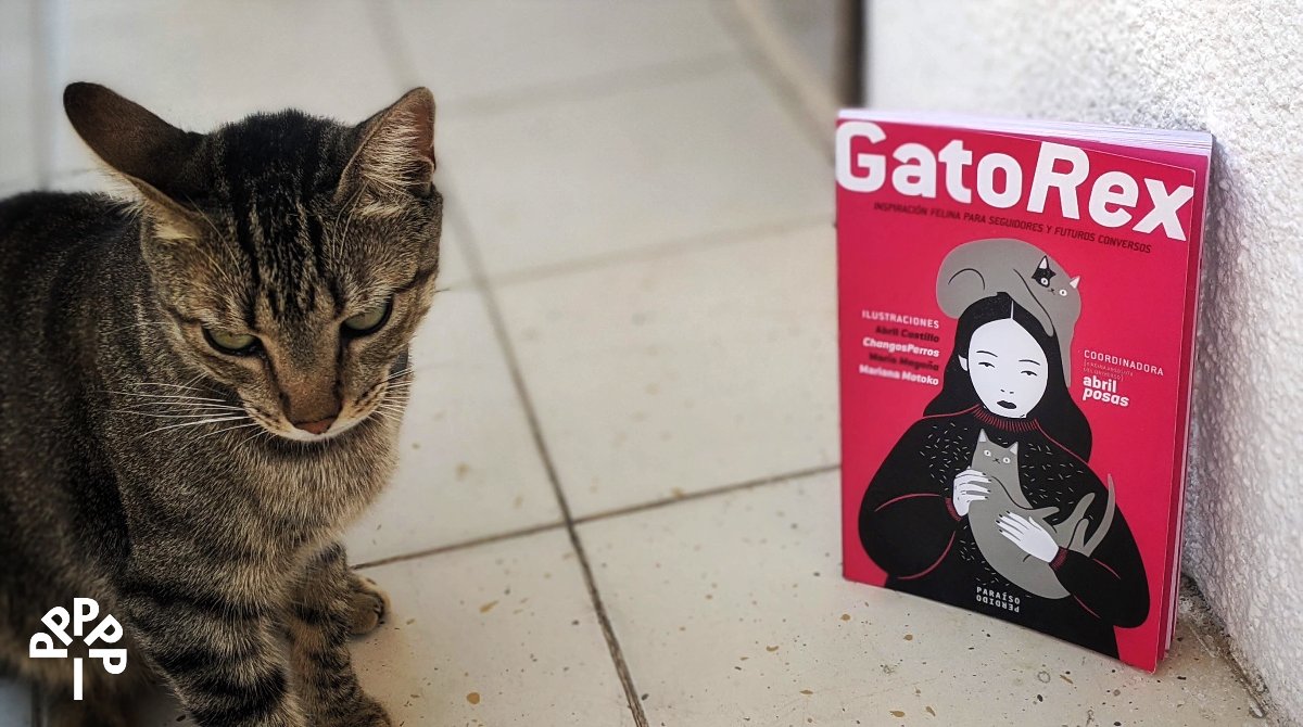 Eparaisoperdido's tweet photo. 😸 «¿Entonces ya lo leyeron o no?
Tache si aún no lo tienen.» 🐈
#Caturday #gatolector #booklovers #LibrosRecomendados #catlovers #katze #gatto #GatoREx #ねこ #gat #Kedi
#EncuentraParaísoPerdido #EditorialesIndependientes https://t.co/g1e3V2tMzv