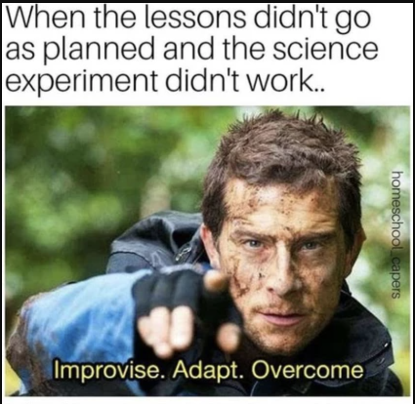 NextThing.Education tweet media