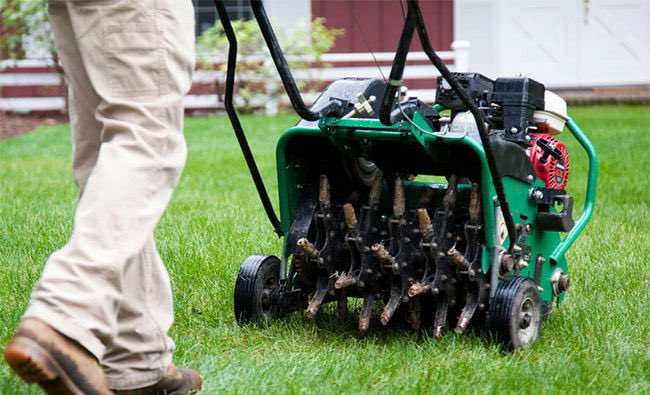 Tyler Hinam (@tylerhinam) on Twitter photo Next weekend myself and 2 of my friends <a href="/lukehenman16/">Luke Henman</a> and <a href="/jackgillis71/">Jack Gillis</a> will be aerating lawns in the HRM area. We will be charging between $50-$100 depending on property size. If interested please text (902)449-7531 with your name and address! Thank you! Next weekend myself and 2 of my friends <a href="/lukehenman16/">Luke Henman</a> and <a href="/jackgillis71/">Jack Gillis</a> will be aerating lawns in the HRM area. We will be charging between $50-$100 depending on property size. If interested please text (902)449-7531 with your name and address! Thank you!