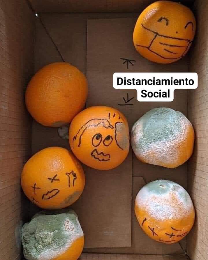 RNE Calama tweet media