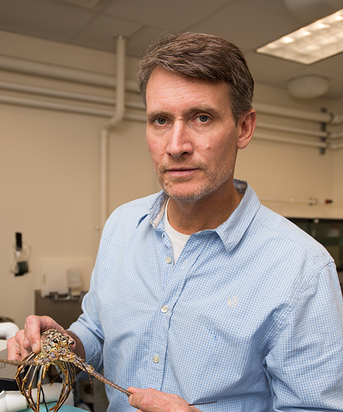 UF Forest, Fisheries, & Geomatics Sciences tweet media
